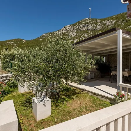 Loza - Moja Stina * Seoca