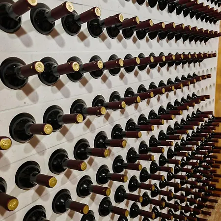 Loza - Moja Stina * Seoca